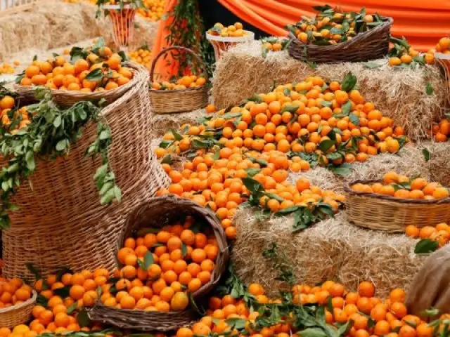 Seferihisar Mandalina Festivali Turu